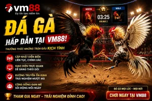 VM88 giao diện trò chơi và khu bàn cược