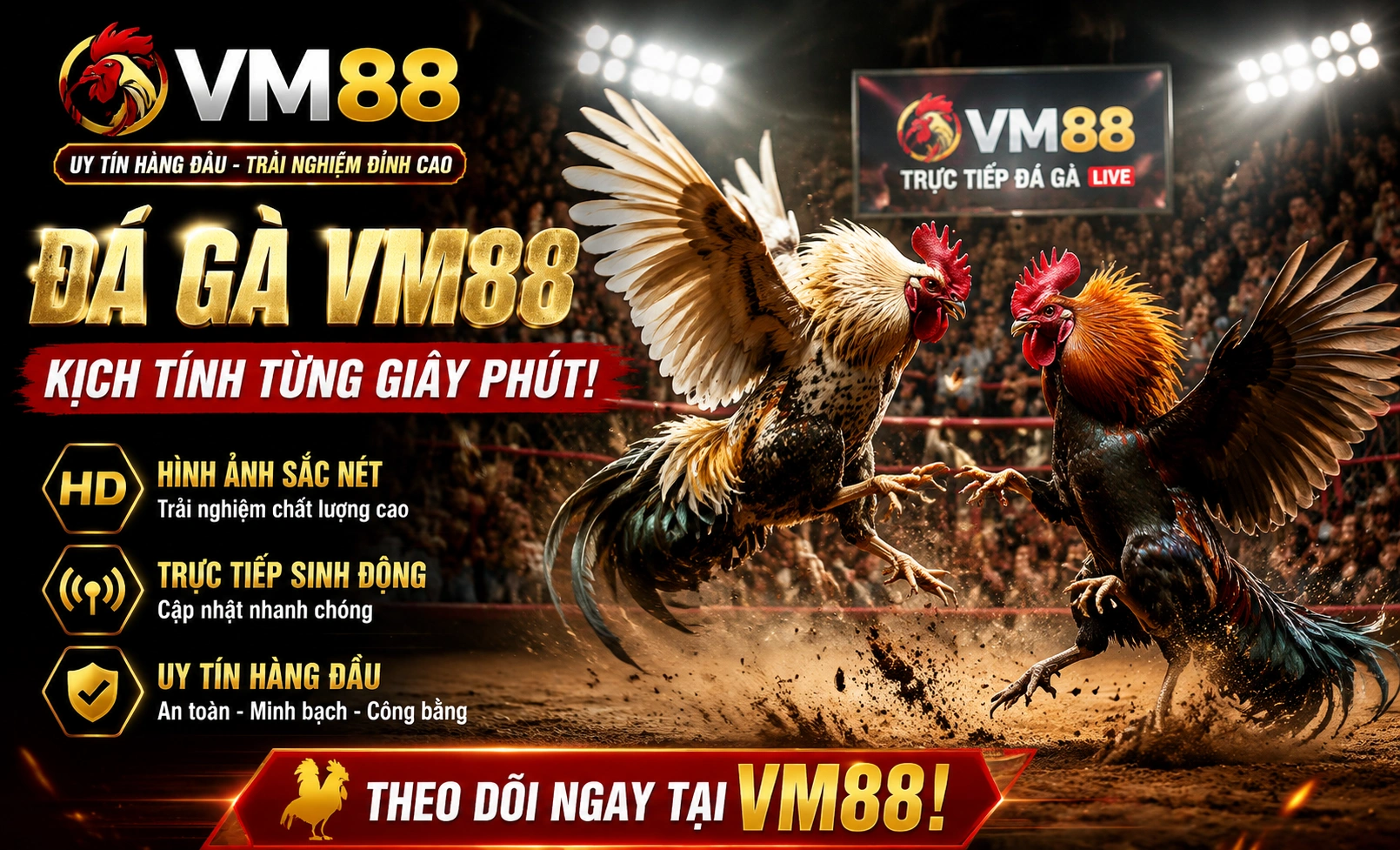 vm88 Đá Gà – Trận Đá Gà Sôi Động, Thưởng Ngay +158K