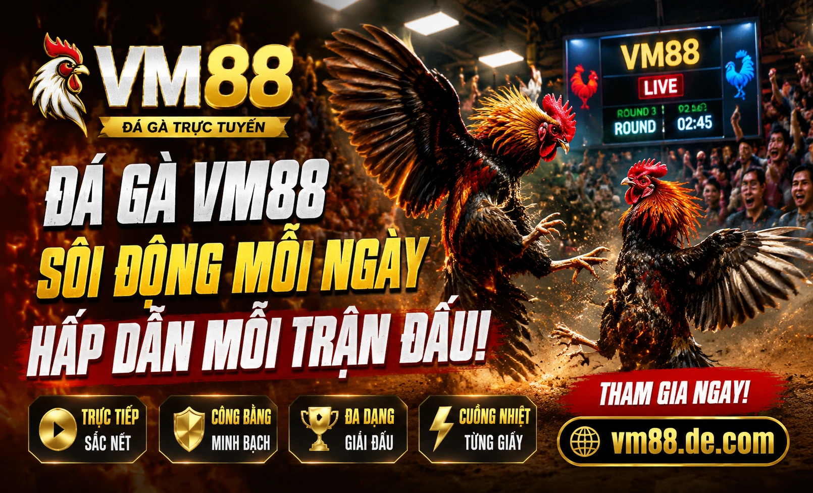 Góc VIP đá gà VM88
